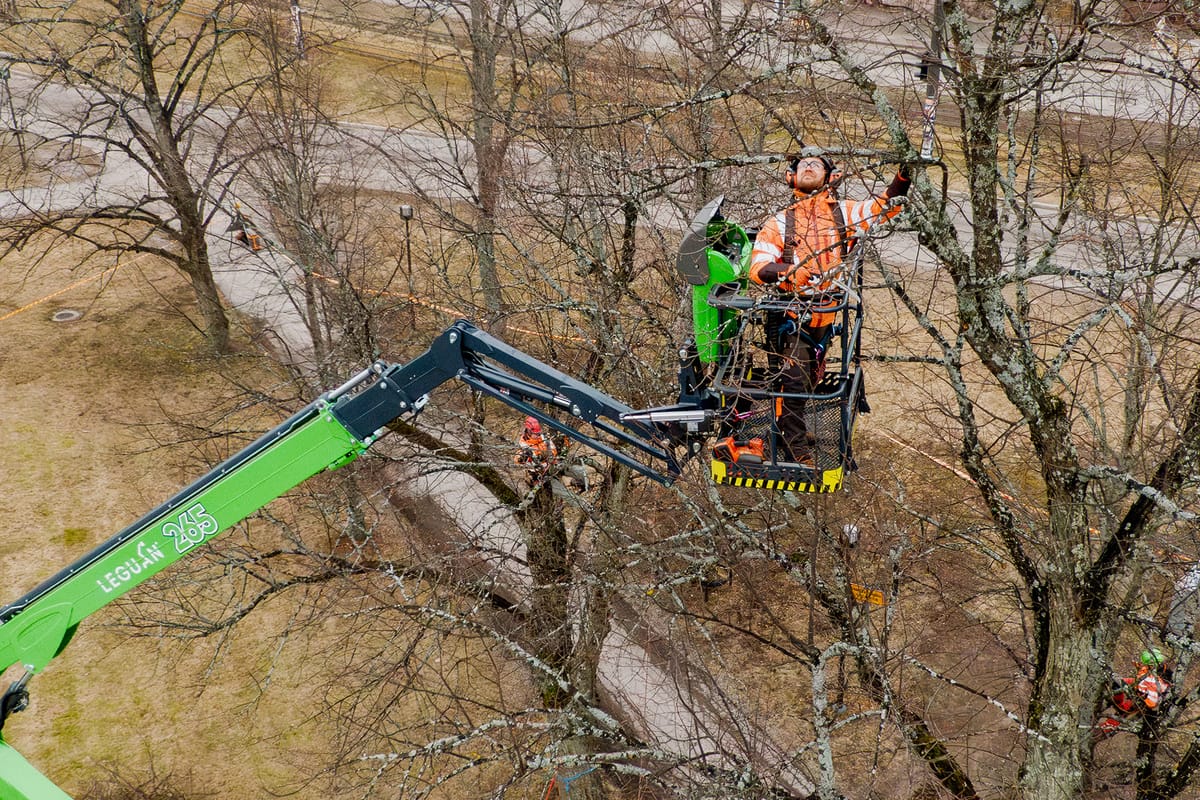 Δενδροκομία για Αποτελεσματικότητα