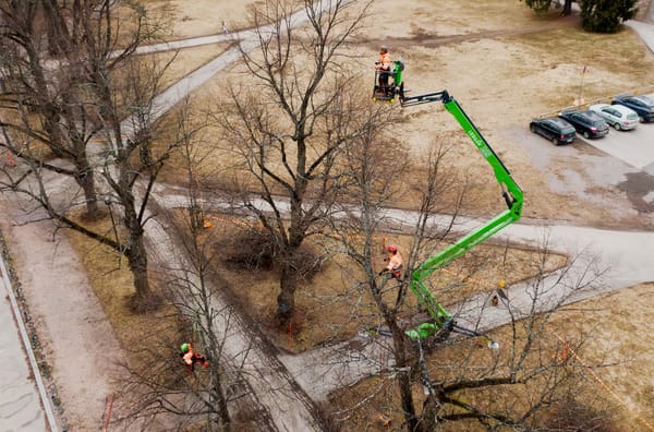 Αύξηση Παραγωγικότητας στην Δενδροκομία